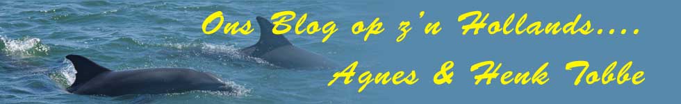 Ons blog logo